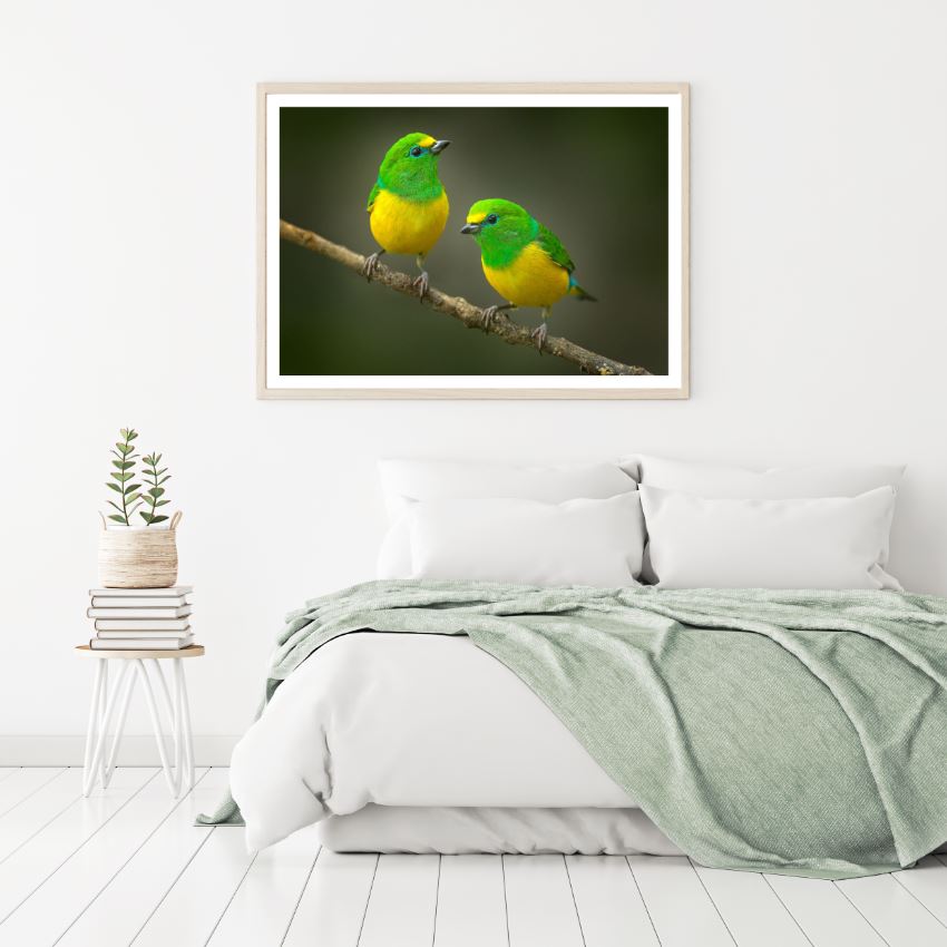 Green Yellow Birds on a Branch Photograph Home Decor Premium Quality Poster Print Choose Your Sizes