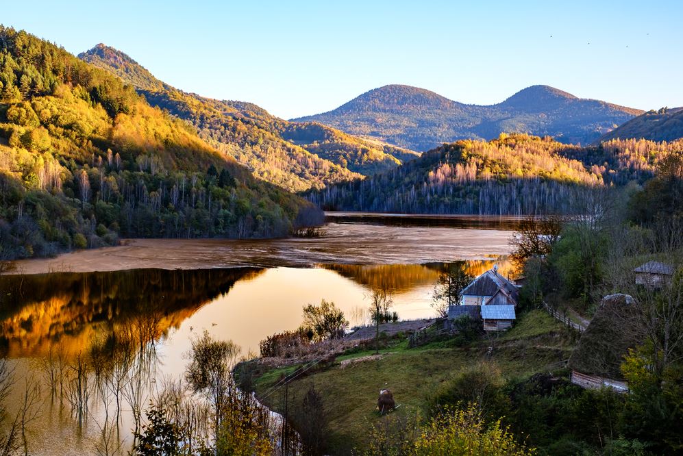 Stunning Lake & Forest Scenery Home Decor Premium Quality Poster Print Choose Your Sizes