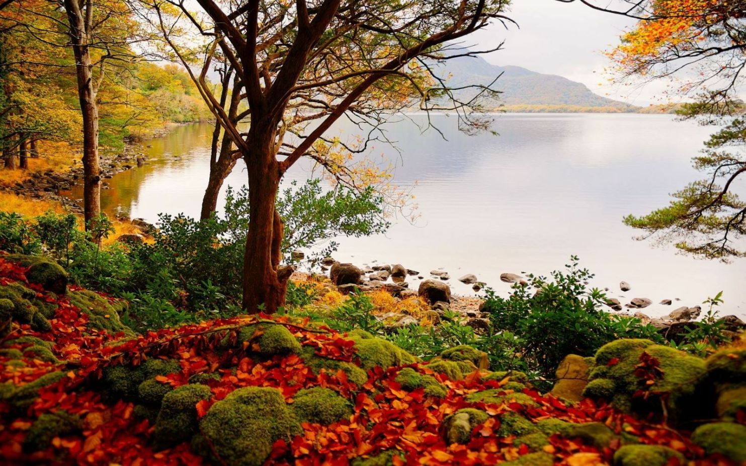 Autumn Forest Near Lake Photograph Print 100% Australian Made