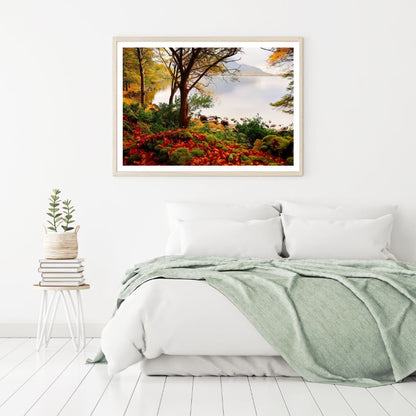 Forest Near Lake Photograph Home Decor Premium Quality Poster Print Choose Your Sizes