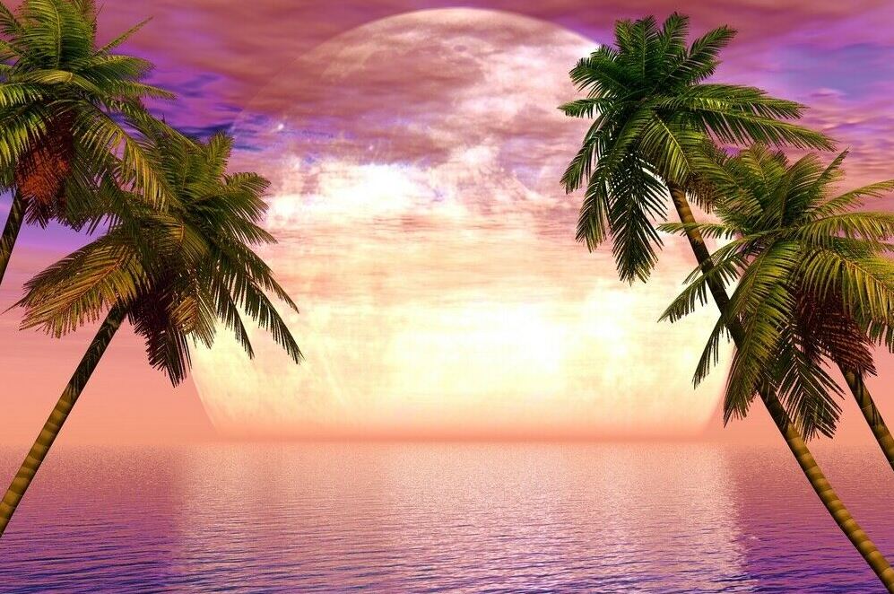 Palm Trees & Sea Sunset Scenery Home Decor Premium Quality Poster Print Choose Your Sizes