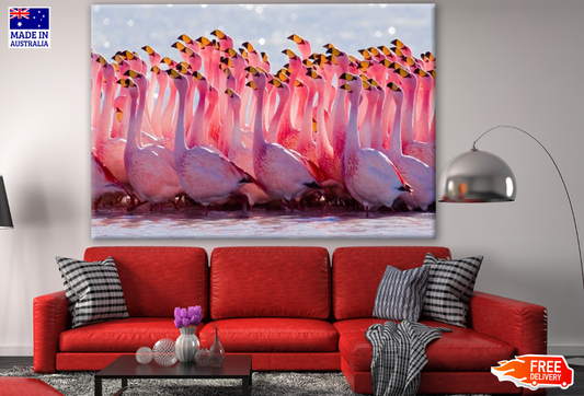 Flamingo Flock in River Photograph Print 100% Australian Made