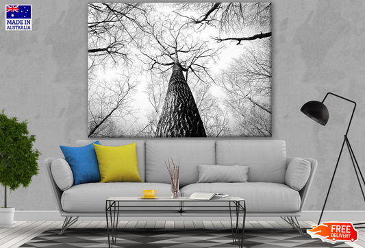 B&W Tree Photograph Print 100% Australian Made