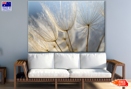 Dandelion Flower Closeup Photograph Print 100% Australian Made