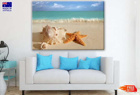 Sea Shells & Star Fish Beach View Photograpg Print 100% Australian Made
