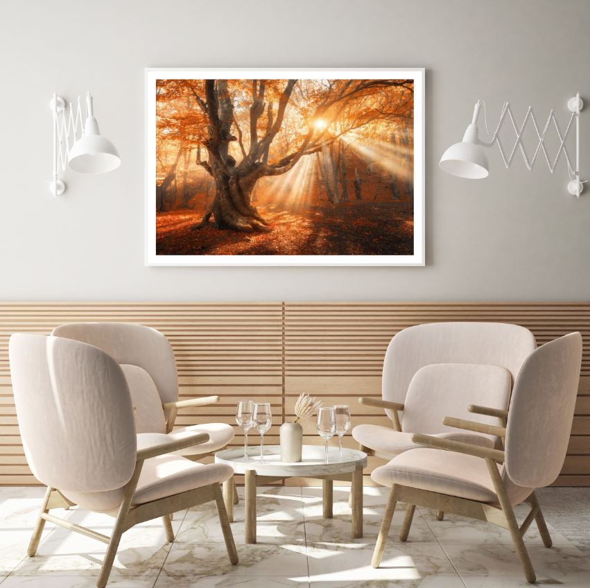 Sunrays in Forest Scenery View Home Decor Premium Quality Poster Print Choose Your Sizes