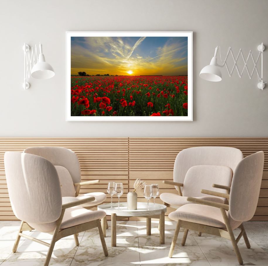 Red Tulip Field Sunset Photograph Home Decor Premium Quality Poster Print Choose Your Sizes