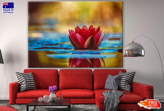 Water Lily on Water Photograph Print 100% Australian Made