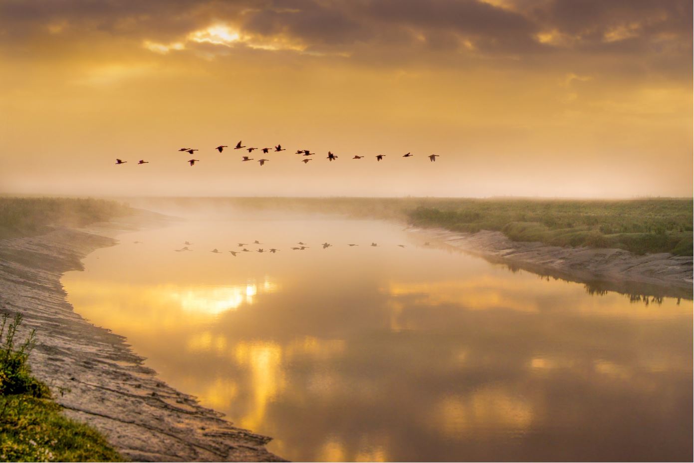 Birds Flying Over River Sunset Home Decor Premium Quality Poster Print Choose Your Sizes