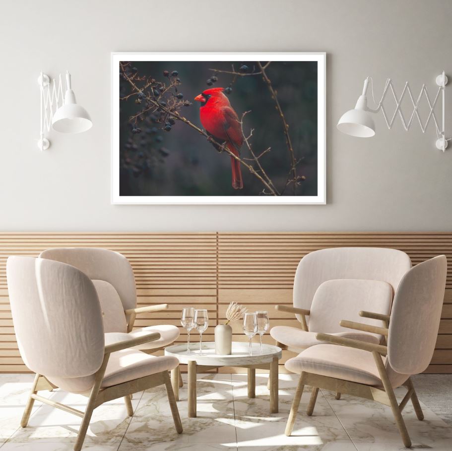 Red Bird on Tree Photograph Home Decor Premium Quality Poster Print Choose Your Sizes