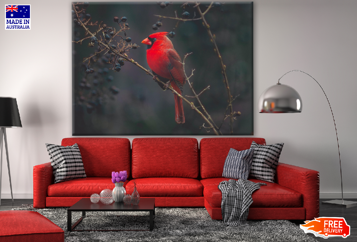 Cardinal Bird on a Tree Photograph Print 100% Australian Made