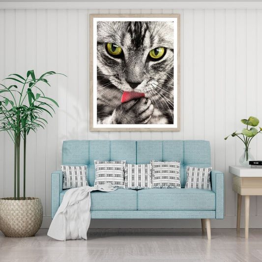 Cat Portrait Closeup Photograph Home Decor Premium Quality Poster Print Choose Your Sizes