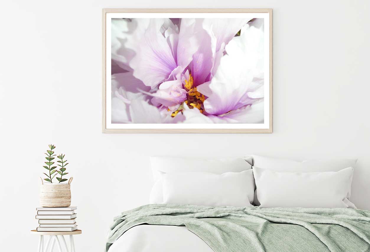 Pink Peony Flower Closeup View Home Decor Premium Quality Poster Print Choose Your Sizes