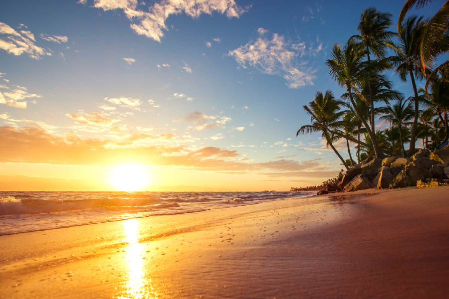 Palm Trees & Sunset Sky View Photograph Print 100% Australian Made