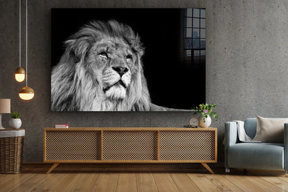 Lion Face B&W View Print Tempered Glass Wall Art 100% Made in Australia Ready to Hang