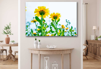 Bella Home Sunflower with Leaves Below View Print Canvas Ready to hang