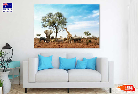 Animals in Kruger National Park Photograph Print 100% Australian Made