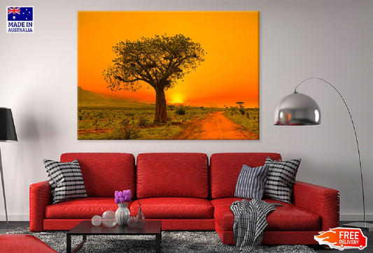 Alone Tree in Field Sunset View Photograph Print 100% Australian Made