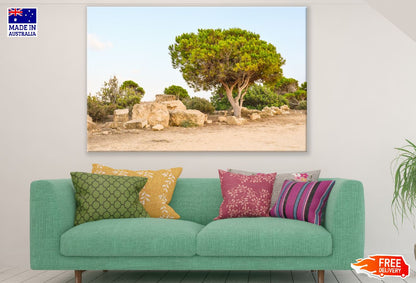 Rocks & Tree Photograph Print 100% Australian Made