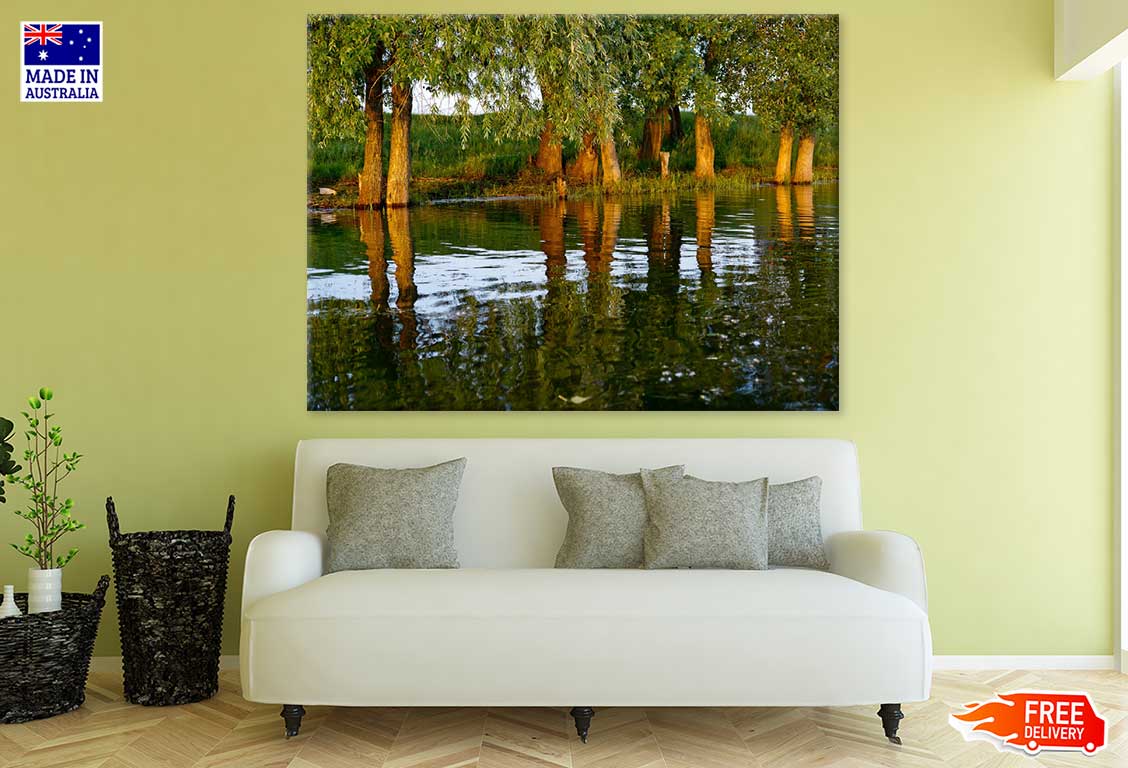 Trees Near River Photograph Print 100% Australian Made