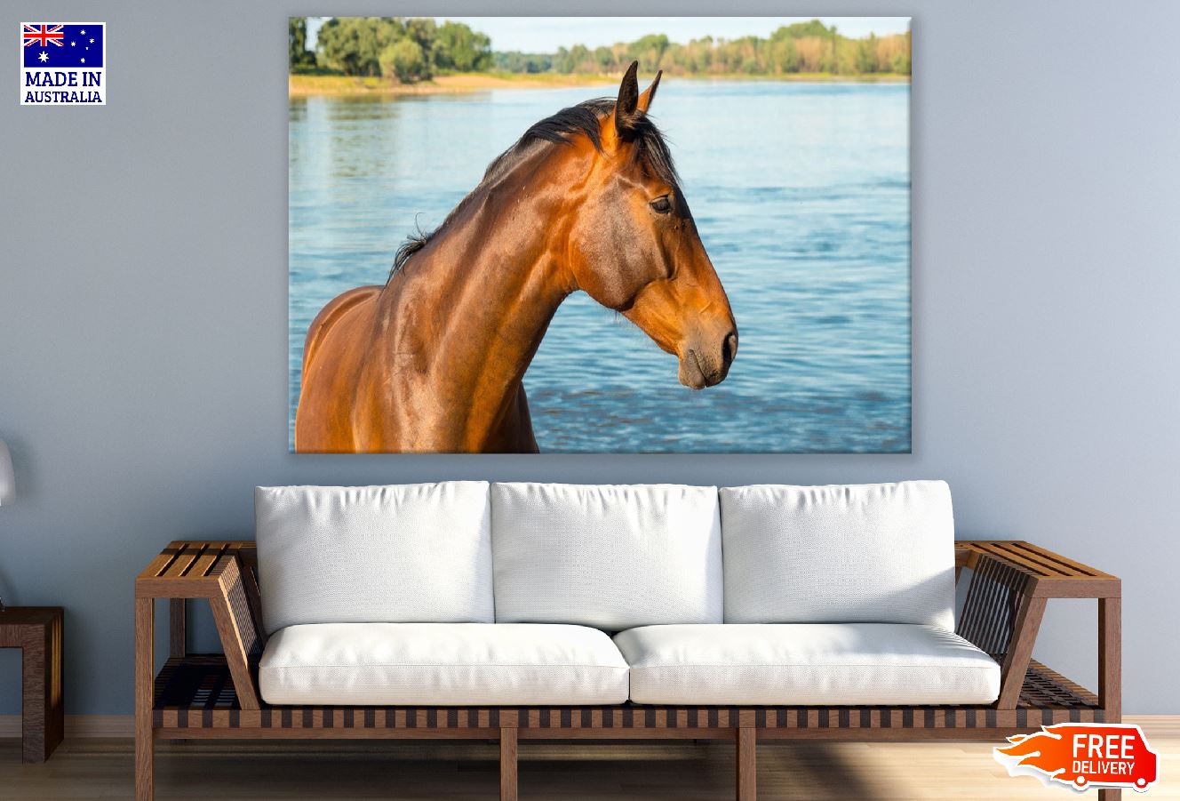 Horse in Water Closeup Photograph Print 100% Australian Made