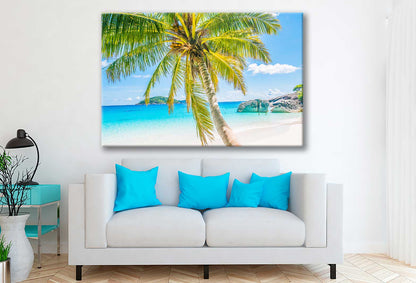 Bella Home Palms Tree on Sand Sea Print Canvas Ready to hang