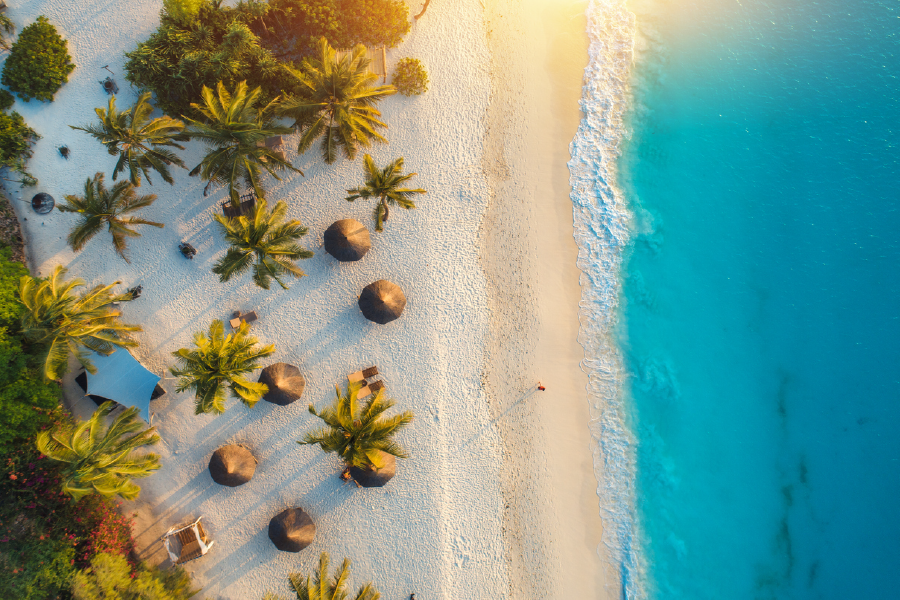 Palm Trees & Sea Aerial View Photograph Print 100% Australian Made