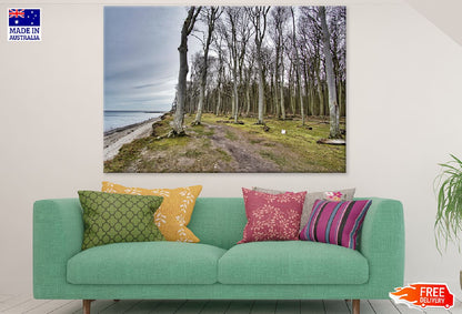 Dead Trees Near Sea Photograph Print 100% Australian Made