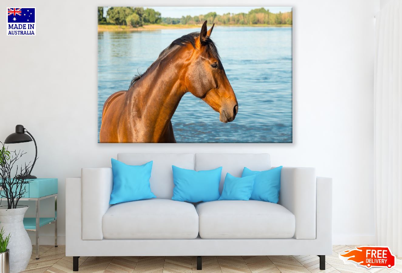 Horse in Water Closeup Photograph Print 100% Australian Made