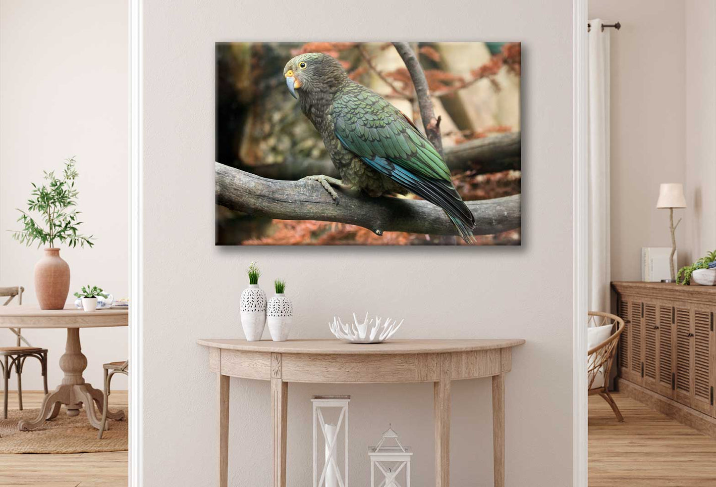 Bella Home Kea Nestor Notabilis Wildlife Animal Print Canvas Ready to hang