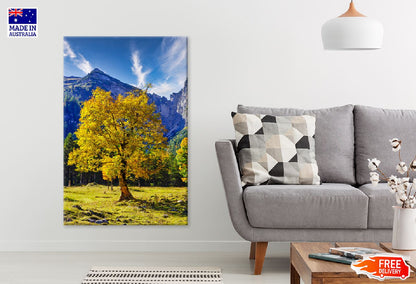 Yellow Autumn Tree & Mountain View Photograph Print 100% Australian Made