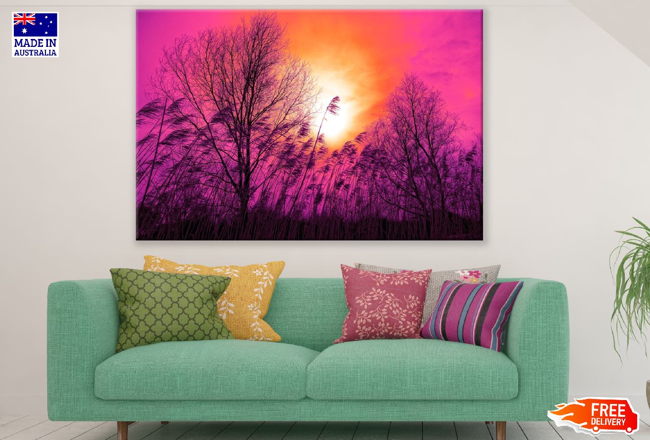 Trees & Pink Color Sky View Photograph Print 100% Australian Made