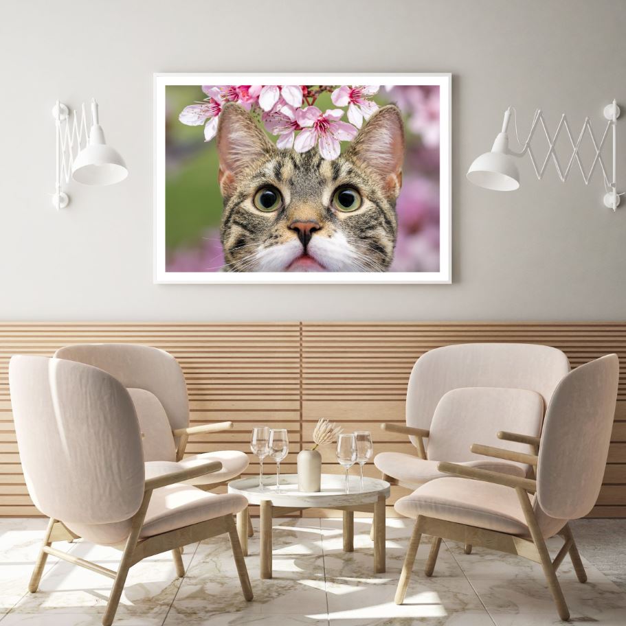 Cat Portrait Closeup Photograph Home Decor Premium Quality Poster Print Choose Your Sizes