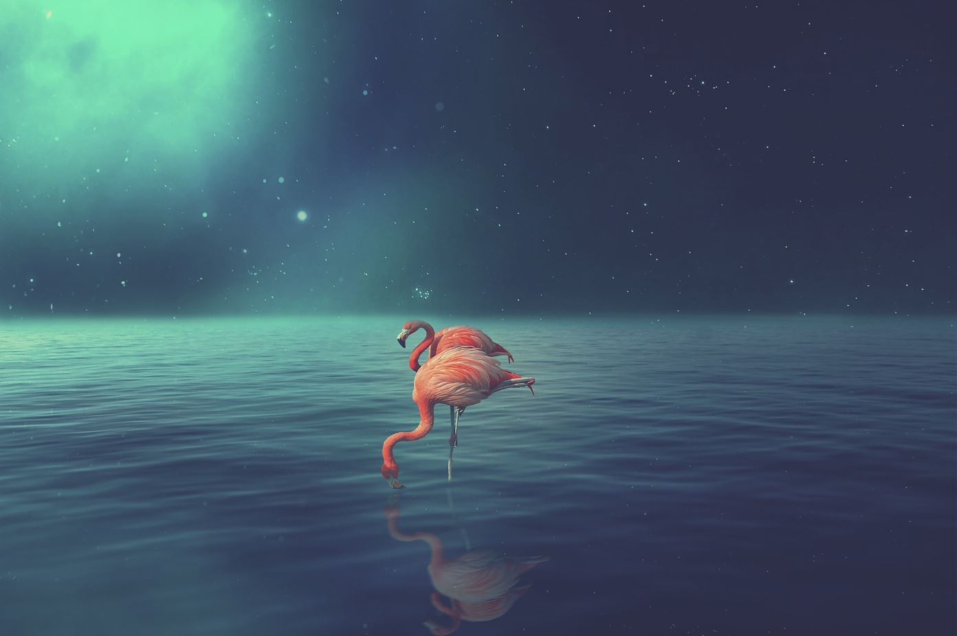 Flamingos on Lake Night View Art Home Decor Premium Quality Poster Print Choose Your Sizes