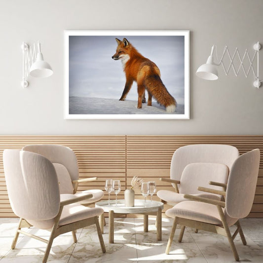 Fox on Snow Closeup Photograph Home Decor Premium Quality Poster Print Choose Your Sizes