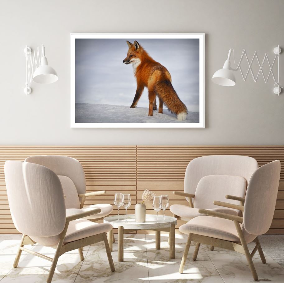 Fox Walking on Snow Photograph Home Decor Premium Quality Poster Print Choose Your Sizes