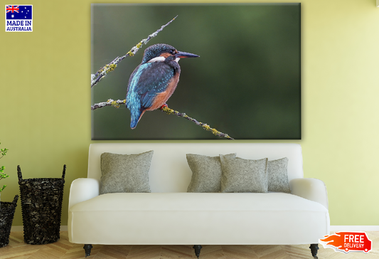 Kingfisher on a Tree Branch Print 100% Australian Made