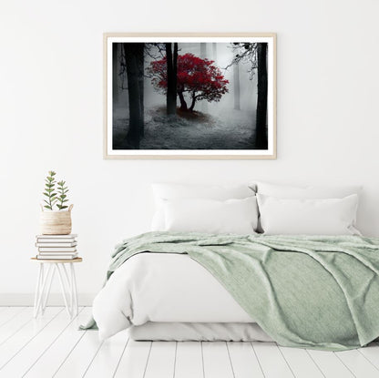 Red Tree in Forest B&W Photograph Home Decor Premium Quality Poster Print Choose Your Sizes