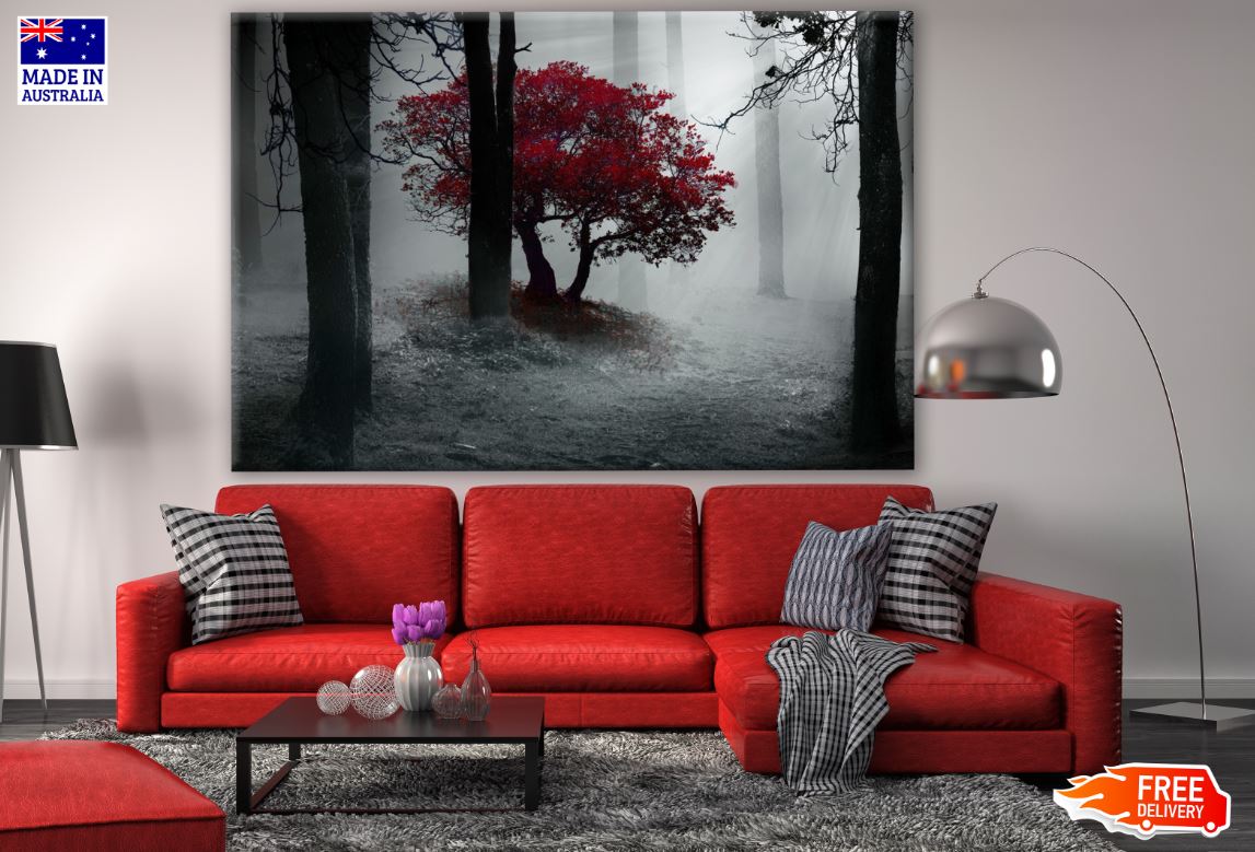 Tree with Red Leaves in a Dark Misty Forest Photograph Print 100% Australian Made