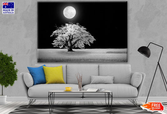 Tree & Moon B&W Photograph Print 100% Australian Made