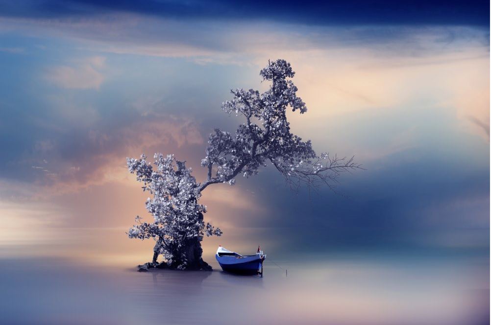 Tree & Boat on Lake Scenery View Home Decor Premium Quality Poster Print Choose Your Sizes