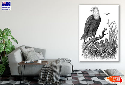 Eagle B&W Drawing Print 100% Australian Made