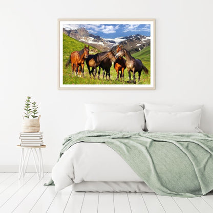 Horses on Meadow Scenery View Photograph Home Decor Premium Quality Poster Print Choose Your Sizes