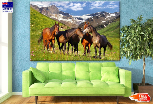 Horses in a Meadow Landscape View Photograph Print 100% Australian Made