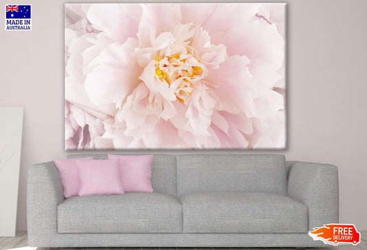 Pink Flower Closeup Photograph Print 100% Australian Made