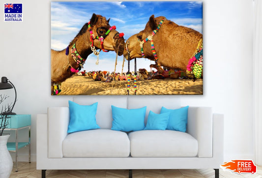 Kissing Camels Photograph Print 100% Australian Made
