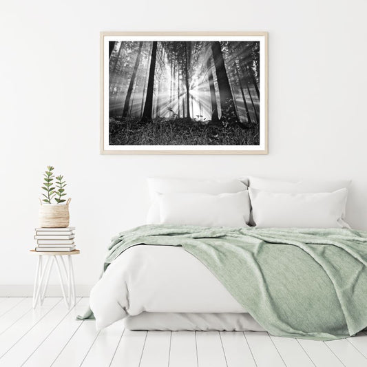 Forest B&W Photograph Home Decor Premium Quality Poster Print Choose Your Sizes