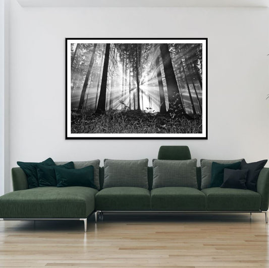 Sunrays in Forest B&W Photograph Home Decor Premium Quality Poster Print Choose Your Sizes