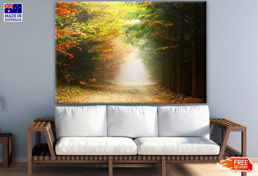 Colourful Misty Forest Photograph Print 100% Australian Made
