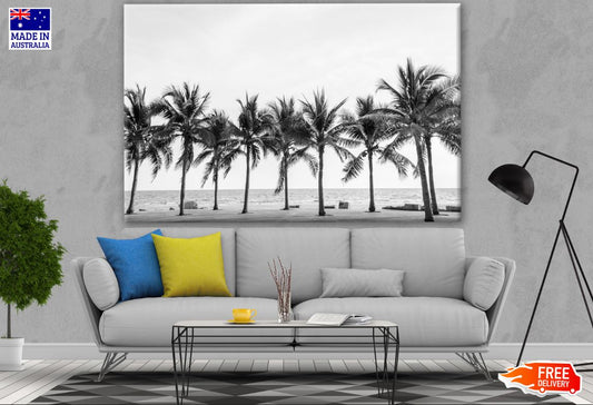 Palm Tree Row Near Beach B&W Photograph Print 100% Australian Made